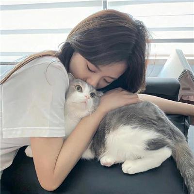 玫瑰人生国语